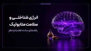 انرژی شناختی و سلامت متابولیک؛ راهنمای ساده تغذیه و مغز