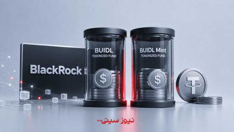 بلکراک دو صندوق توکنیزه برای ذخایر استیبلکوینها راهاندازی کرد