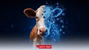 توکنیزهکردن گاوها برای دریافت وام کشاورزی در برزیل